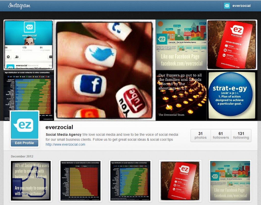 Everzocial Instagram Web Profile